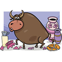 Like a bull in a china shop